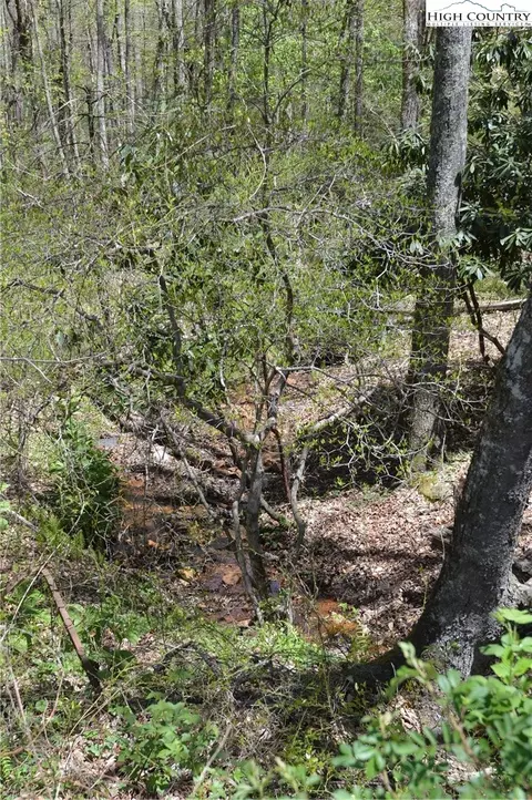 496 Folger Rd, Sparta, NC 28675 photo 48