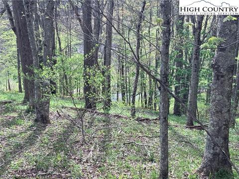 570 Jerd Branch Rd, Lansing, NC 28643 photo 33
