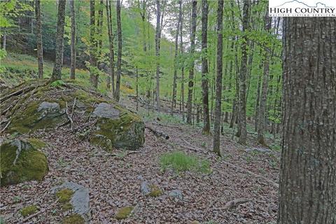 126 Lower Snowbird, Beech Mountain, NC 28604 photo 5