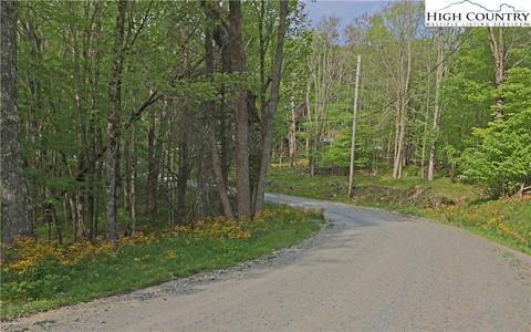 126 Lower Snowbird, Beech Mountain, NC 28604 photo 1