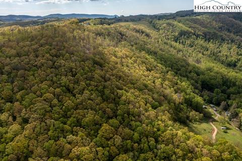 750 Burleson Rd, Plumtree, NC 28664 photo 47