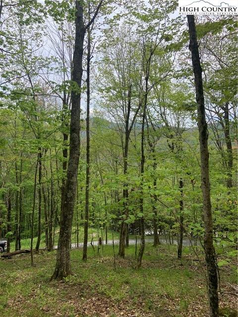 59 Buckeye Lane, Seven Devils, NC 28604 photo 6