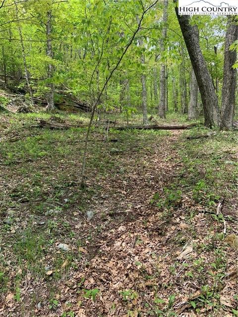 59 Buckeye Lane, Seven Devils, NC 28604 photo 3