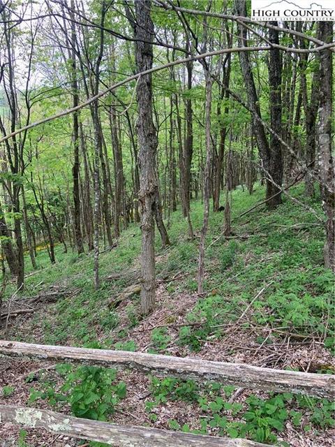 127 Snow Cloud Drive, Seven Devils, NC 28604