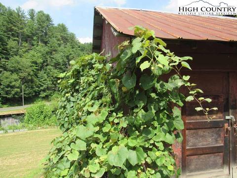 445 Bryan Davis Rd, Creston, NC 28615 photo 13