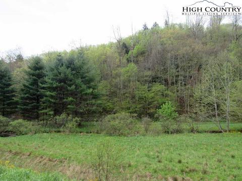 445 Bryan Davis Rd, Creston, NC 28615 photo 30