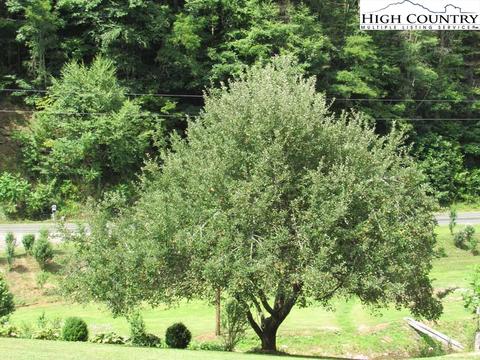 445 Bryan Davis Rd, Creston, NC 28615 photo 14