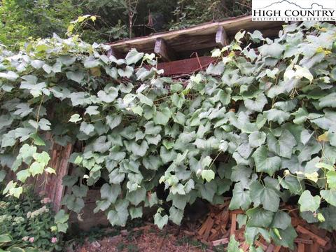 445 Bryan Davis Rd, Creston, NC 28615 photo 11