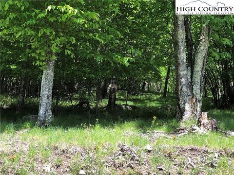 118 Upper Grouse Ridge Rd, Beech Mountain, NC 28604 photo 1