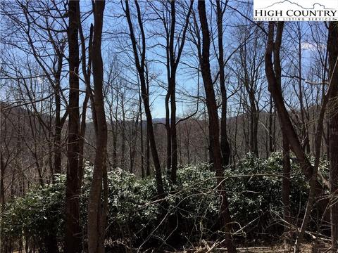 tbd Tucker Rd, Lansing, NC 28643 photo 29