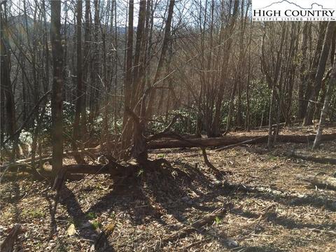 tbd Tucker Rd, Lansing, NC 28643 photo 38