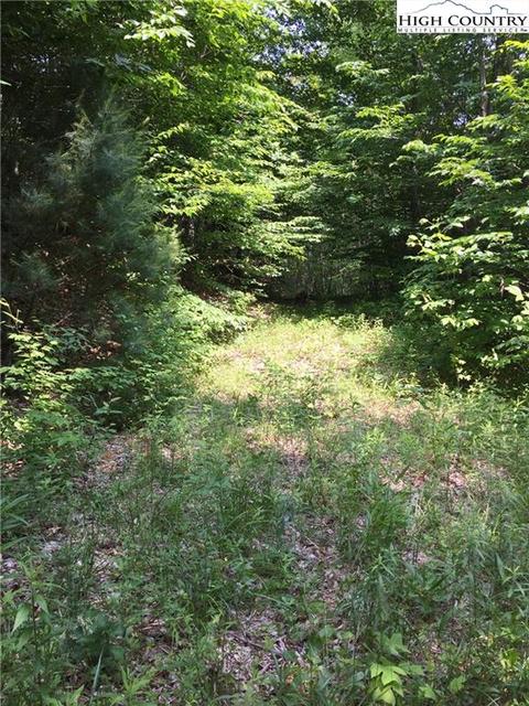 tbd Tucker Rd, Lansing, NC 28643 photo 8