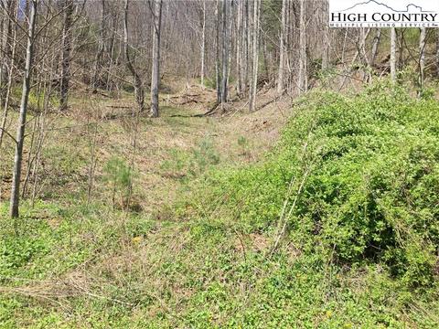 tbd Tucker Rd, Lansing, NC 28643 photo 3