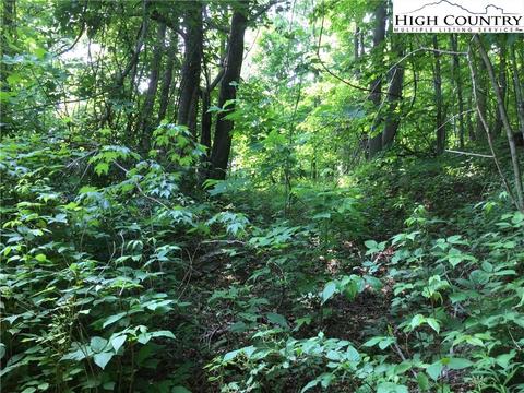 tbd Tucker Rd, Lansing, NC 28643 photo 14