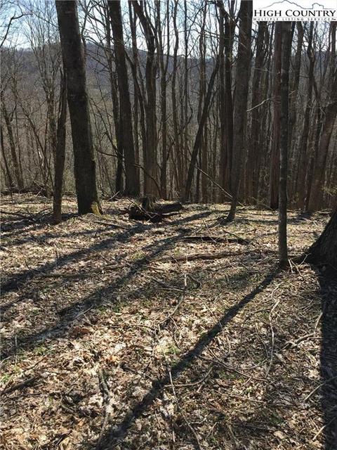 tbd Tucker Rd, Lansing, NC 28643 photo 30