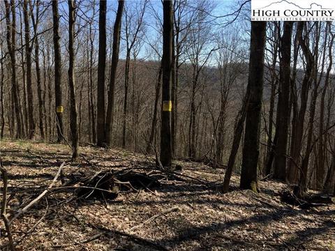 tbd Tucker Rd, Lansing, NC 28643 photo 31