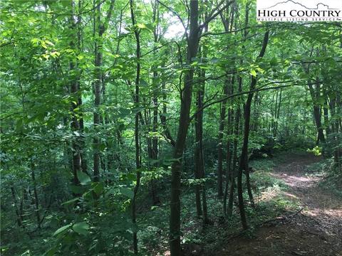 tbd Tucker Rd, Lansing, NC 28643 photo 12