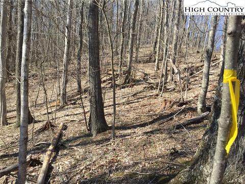 tbd Tucker Rd, Lansing, NC 28643 photo 36