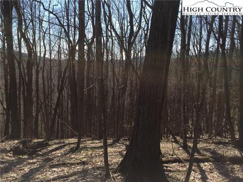 tbd Tucker Rd, Lansing, NC 28643 photo 32