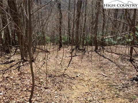 tbd Tucker Rd, Lansing, NC 28643 photo 27