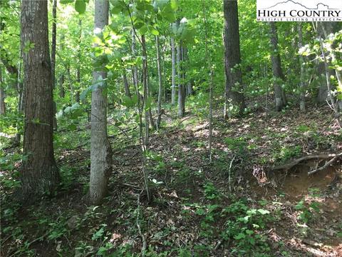 tbd Tucker Rd, Lansing, NC 28643 photo 11
