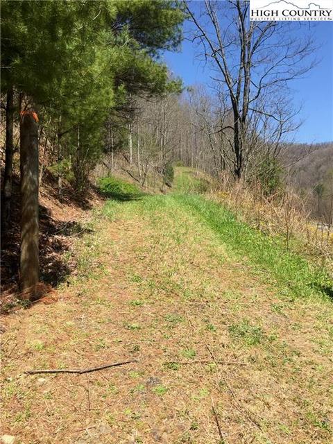 tbd Tucker Rd, Lansing, NC 28643 photo 2