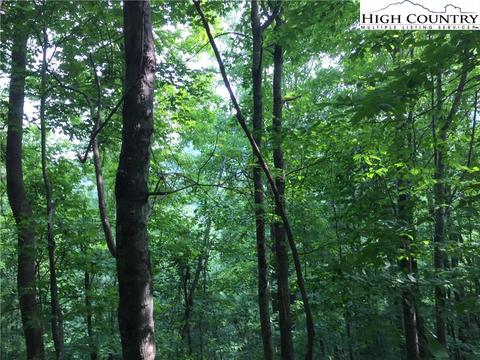 tbd Tucker Rd, Lansing, NC 28643 photo 13