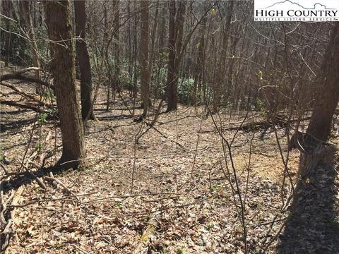 tbd Tucker Rd, Lansing, NC 28643 photo 34