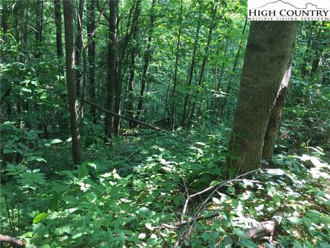 tbd Tucker Rd, Lansing, NC 28643 photo 17
