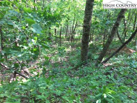 tbd Tucker Rd, Lansing, NC 28643 photo 10