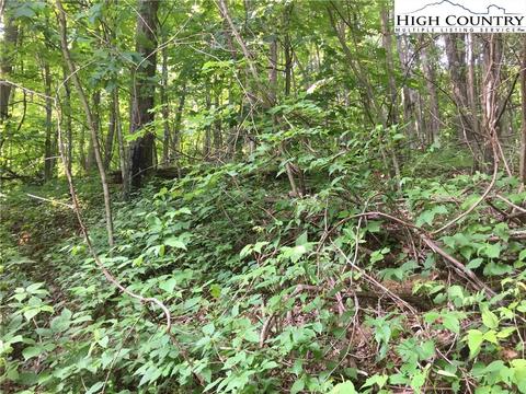 tbd Tucker Rd, Lansing, NC 28643 photo 15
