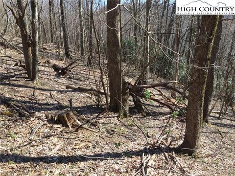 tbd Tucker Rd, Lansing, NC 28643 photo 35