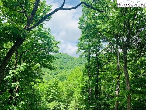 492 Doe Ridge Rd, Boone, NC 28607 photo 6