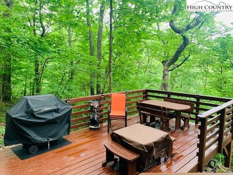 492 Doe Ridge Rd, Boone, NC 28607 photo 3