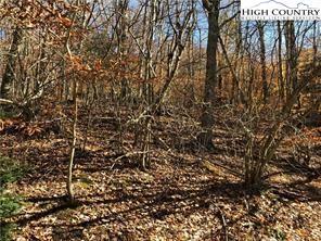 116 Red Fox Ln, Beech Mountain, NC 28604