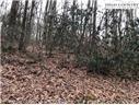 116 Red Fox Ln, Beech Mountain, NC 28604 photo 2
