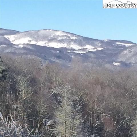 289 Preakness Dr, Boone, NC 28607 photo 49