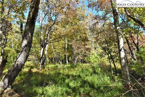 242 Moore Rd, Lansing, NC 28643 photo 10