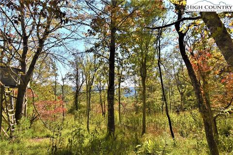 242 Moore Rd, Lansing, NC 28643 photo 9