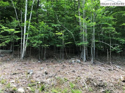 119 Thistle Ln, Beech Mountain, NC 28604 photo 5