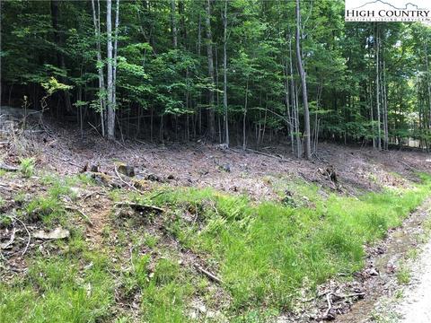 119 Thistle Ln, Beech Mountain, NC 28604 photo 2