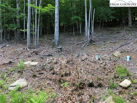 119 Thistle Ln, Beech Mountain, NC 28604 photo 7