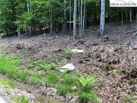119 Thistle Ln, Beech Mountain, NC 28604 photo 3