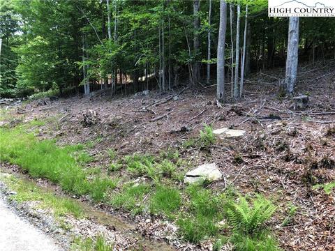 119 Thistle Ln, Beech Mountain, NC 28604 photo 1