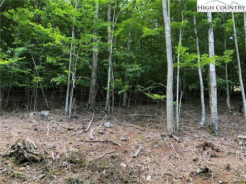 119 Thistle Ln, Beech Mountain, NC 28604 photo 6