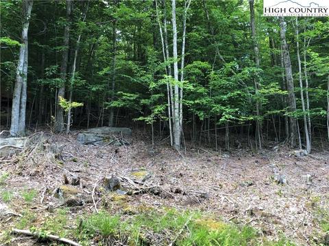 119 Thistle Ln, Beech Mountain, NC 28604 photo 4