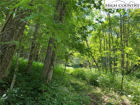 697 Pottertown Rd, Todd, NC 28684 photo 18