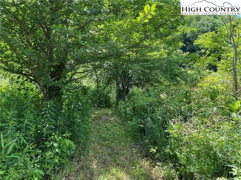 697 Pottertown Rd, Todd, NC 28684 photo 27
