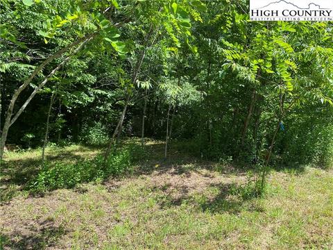 697 Pottertown Rd, Todd, NC 28684 photo 21
