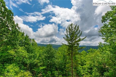 221 Oak Rd, Beech Mountain, NC 28604 photo 33
